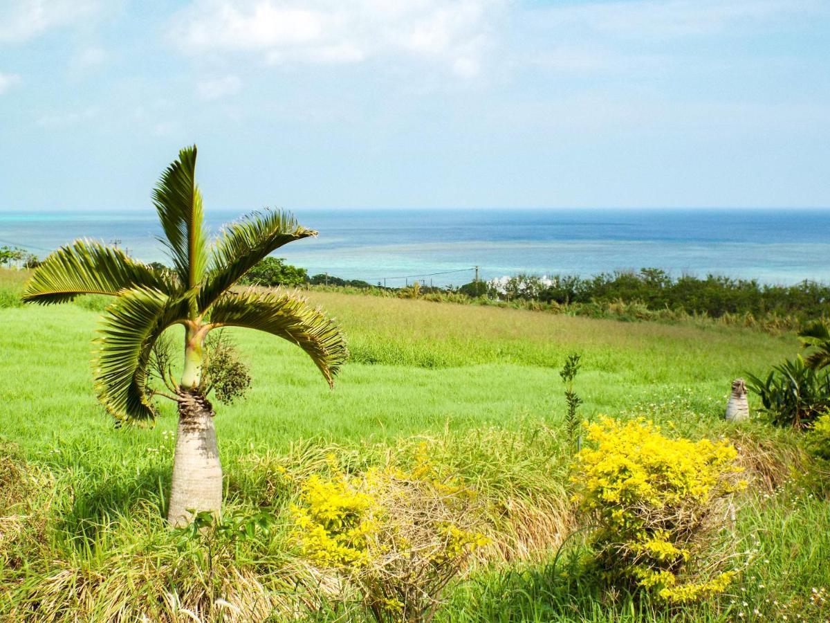 Asobibase Yamabare-House Hotel Ishigaki  Bagian luar foto